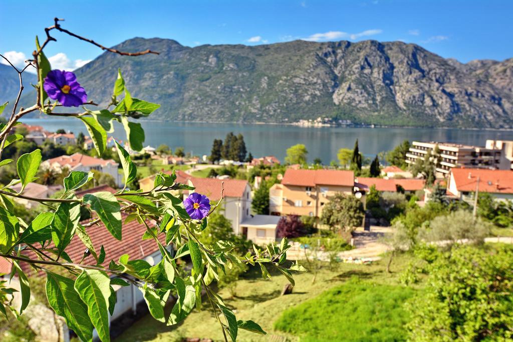 Apartments Soso Kotor Exterior photo